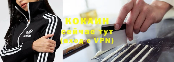 СК Каменка